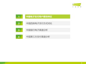 2015年中国电子支付用户研究报告 电子支付密码系统产品趋势分析